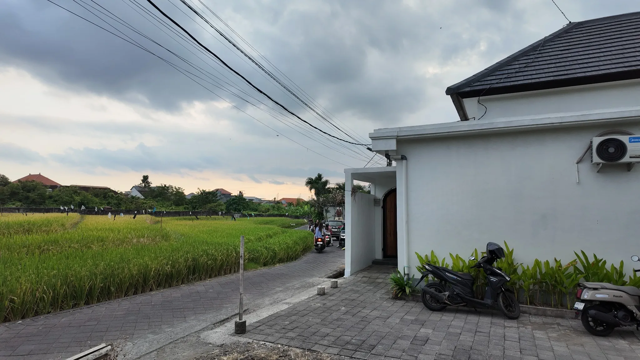 Modern 2-Bedroom Villa with Rice Field View for Long-Term Rent in Canggu — image 1
