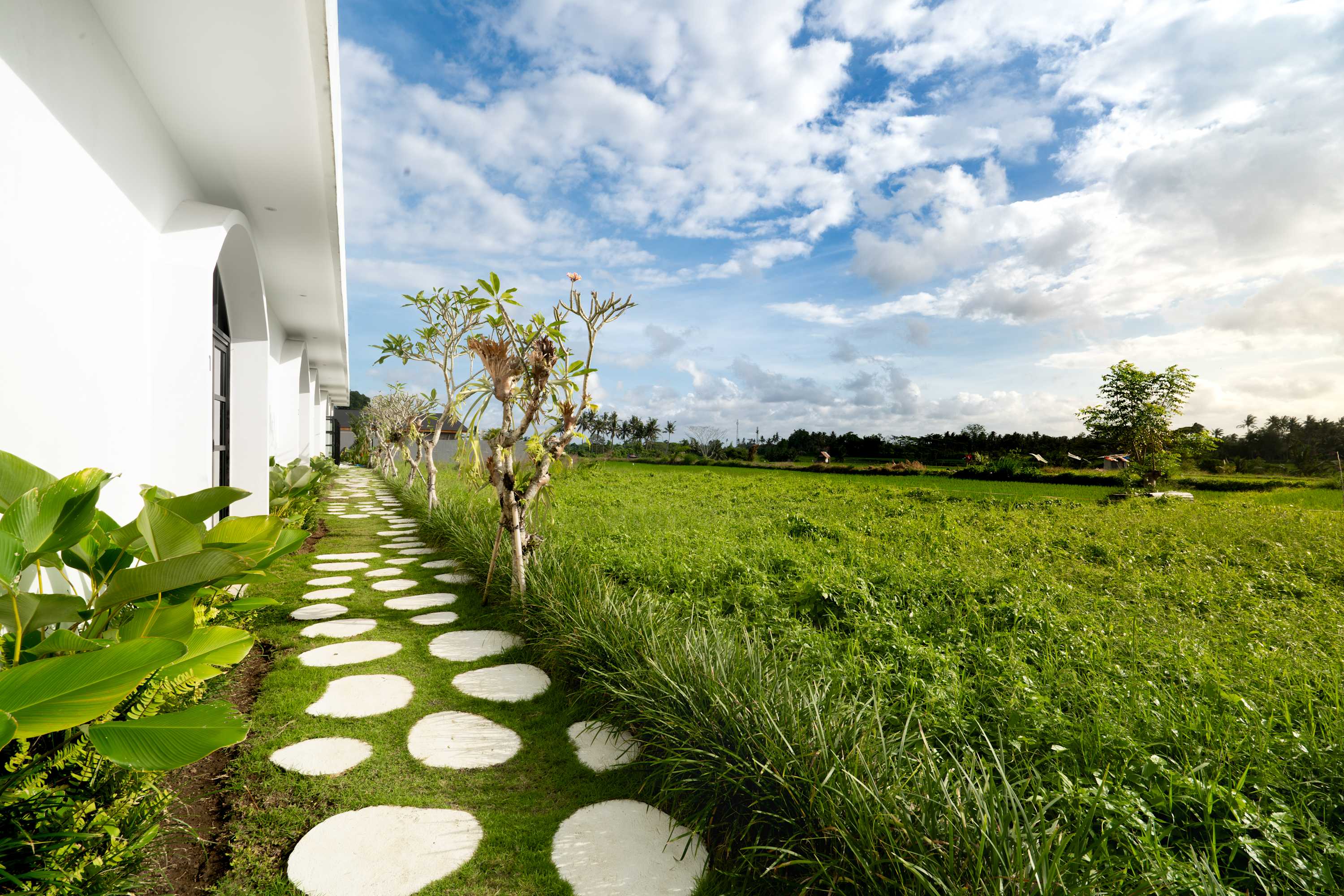 Villa Dallas in Ubud — image 2