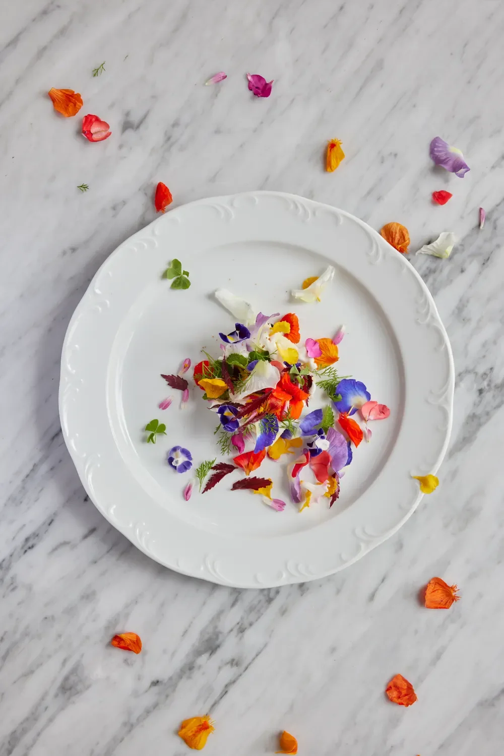 Alpha House — 4BR Villa Rental in Ubud — image 3