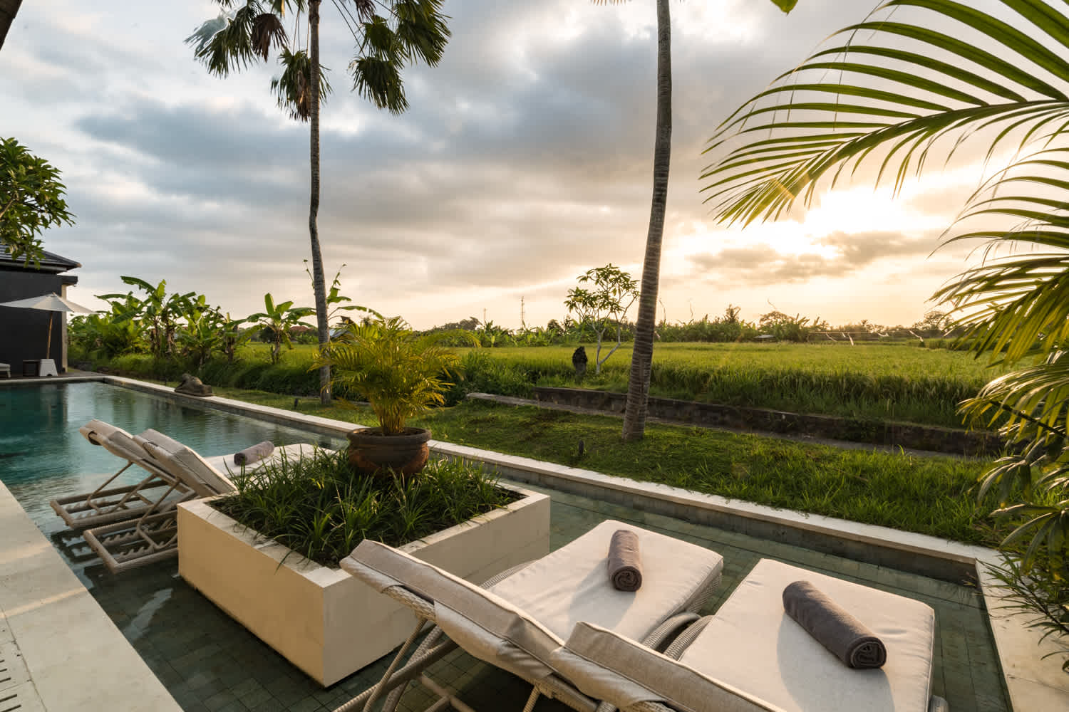 Villa Mimpi in Ubud — image 3