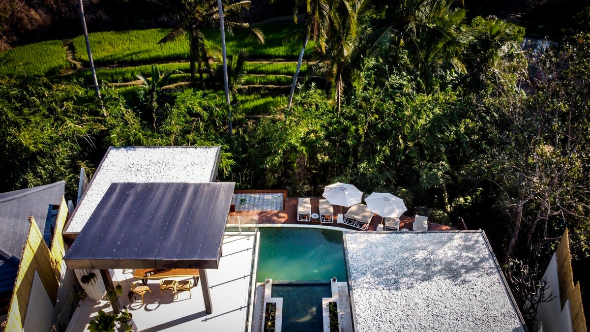 Villa Balinese Monkeys in Ubud — image 9
