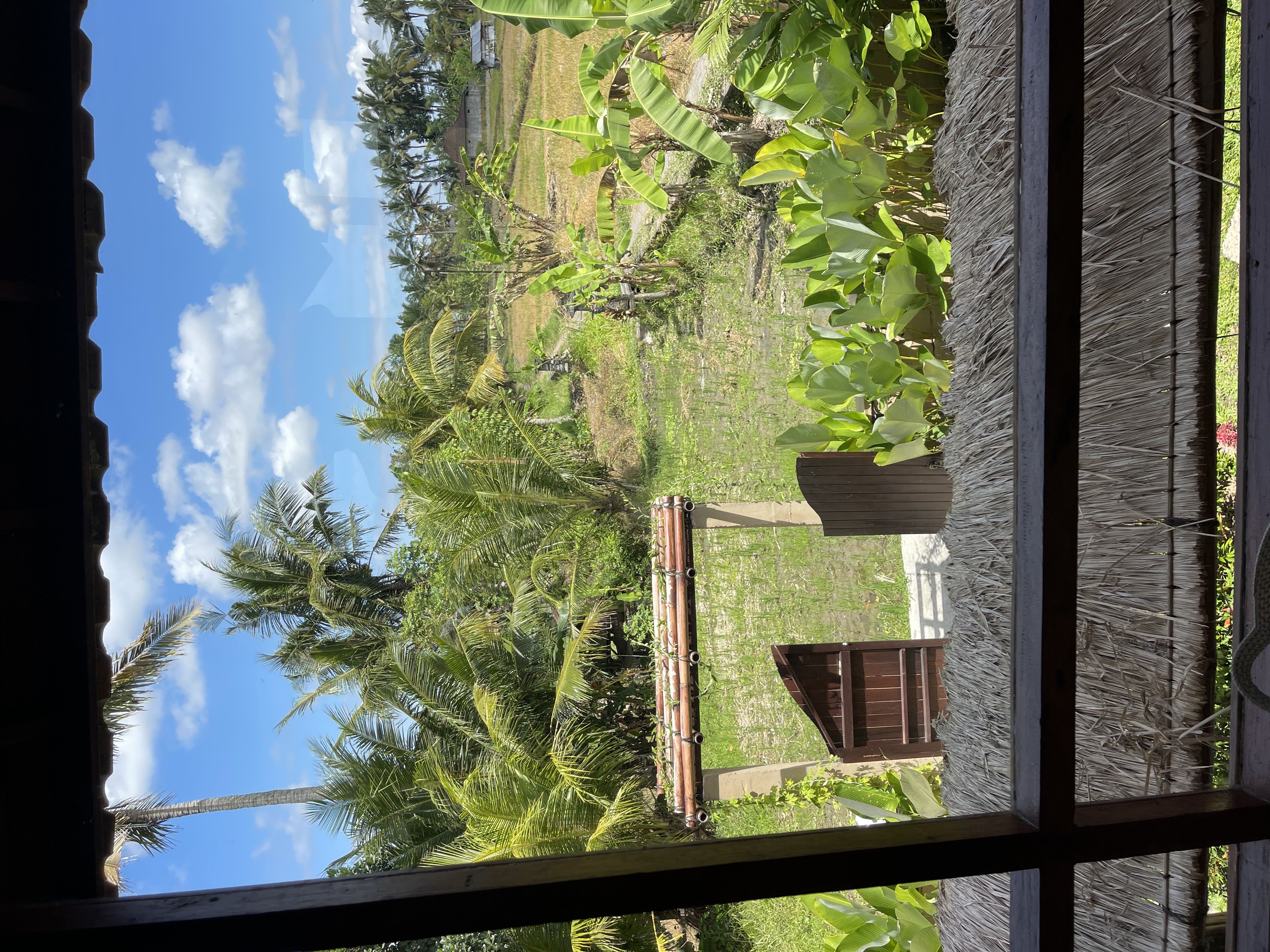 Villa #1 · 1 bed · Mas in Ubud — image 14