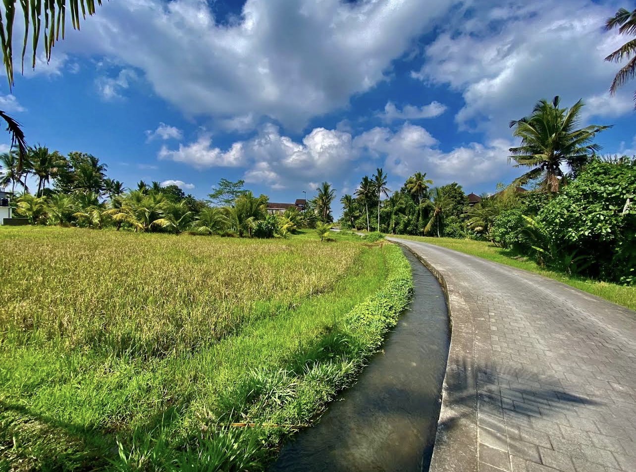 Villa #130 · 1 bed · Singakerta in Ubud — image 19