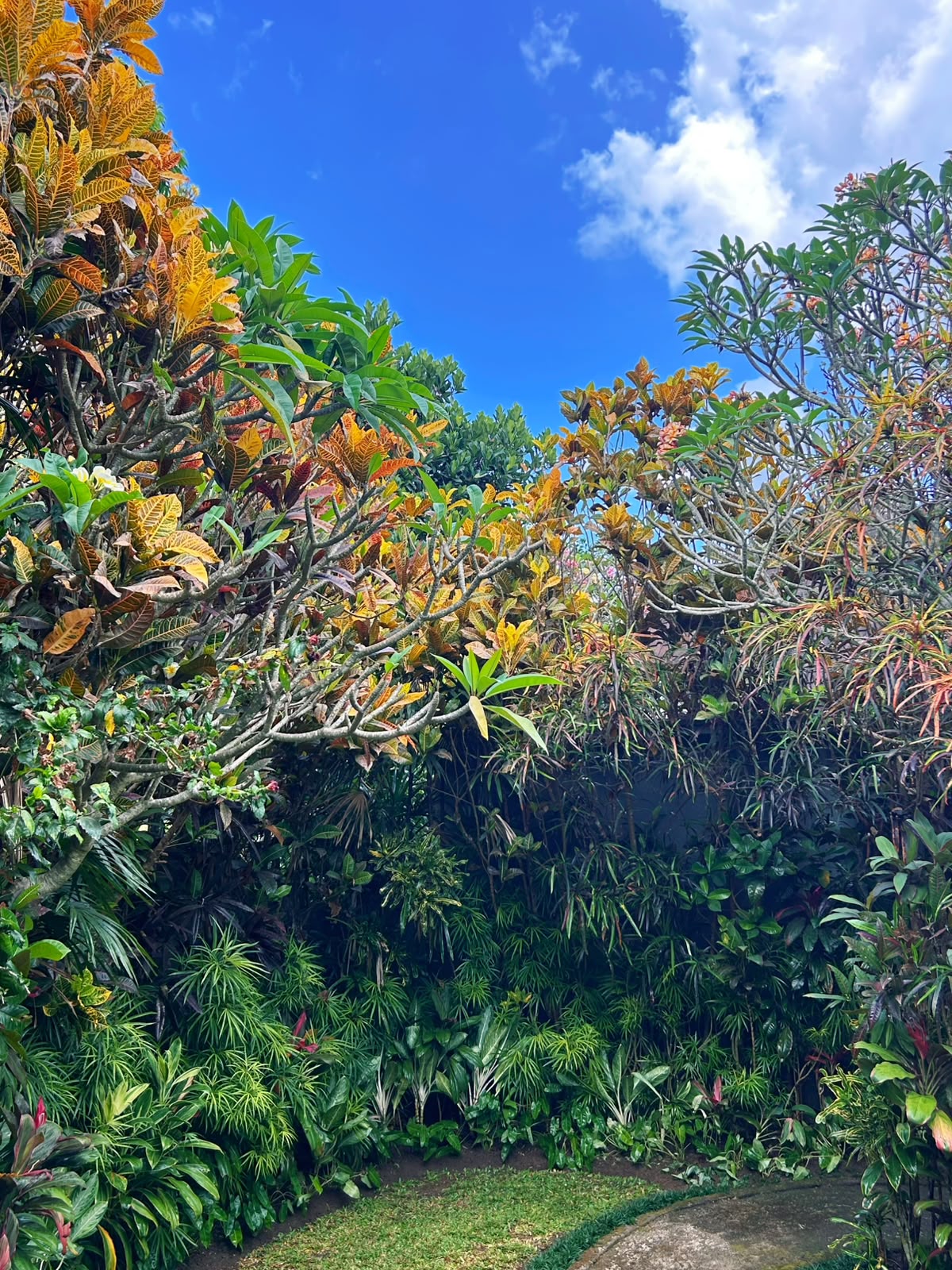 Villa #148 · 1 bed · Penestanan in Ubud — image 14