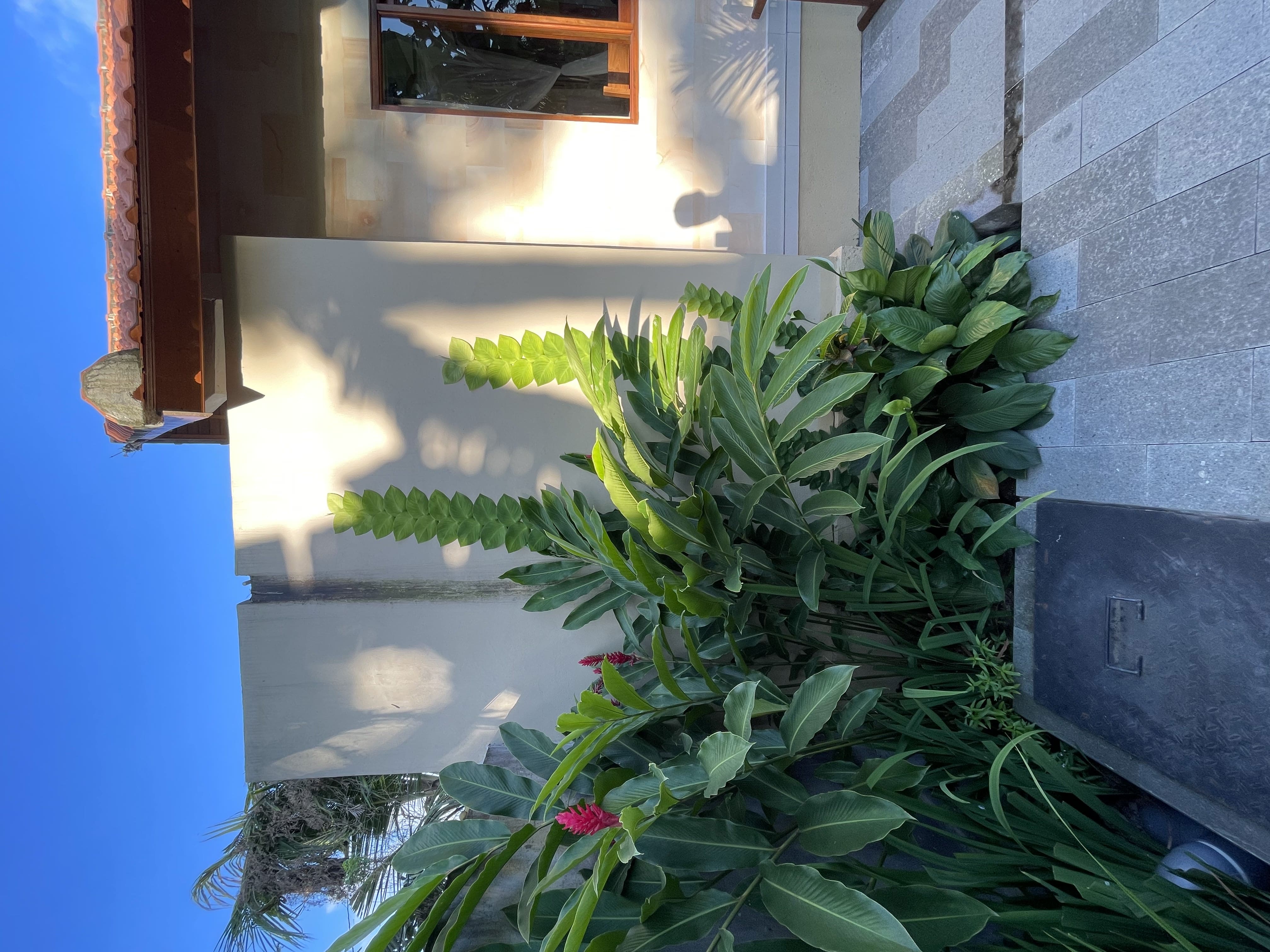 Villa #S002 · 1 bed · Penestanan in Ubud — image 5