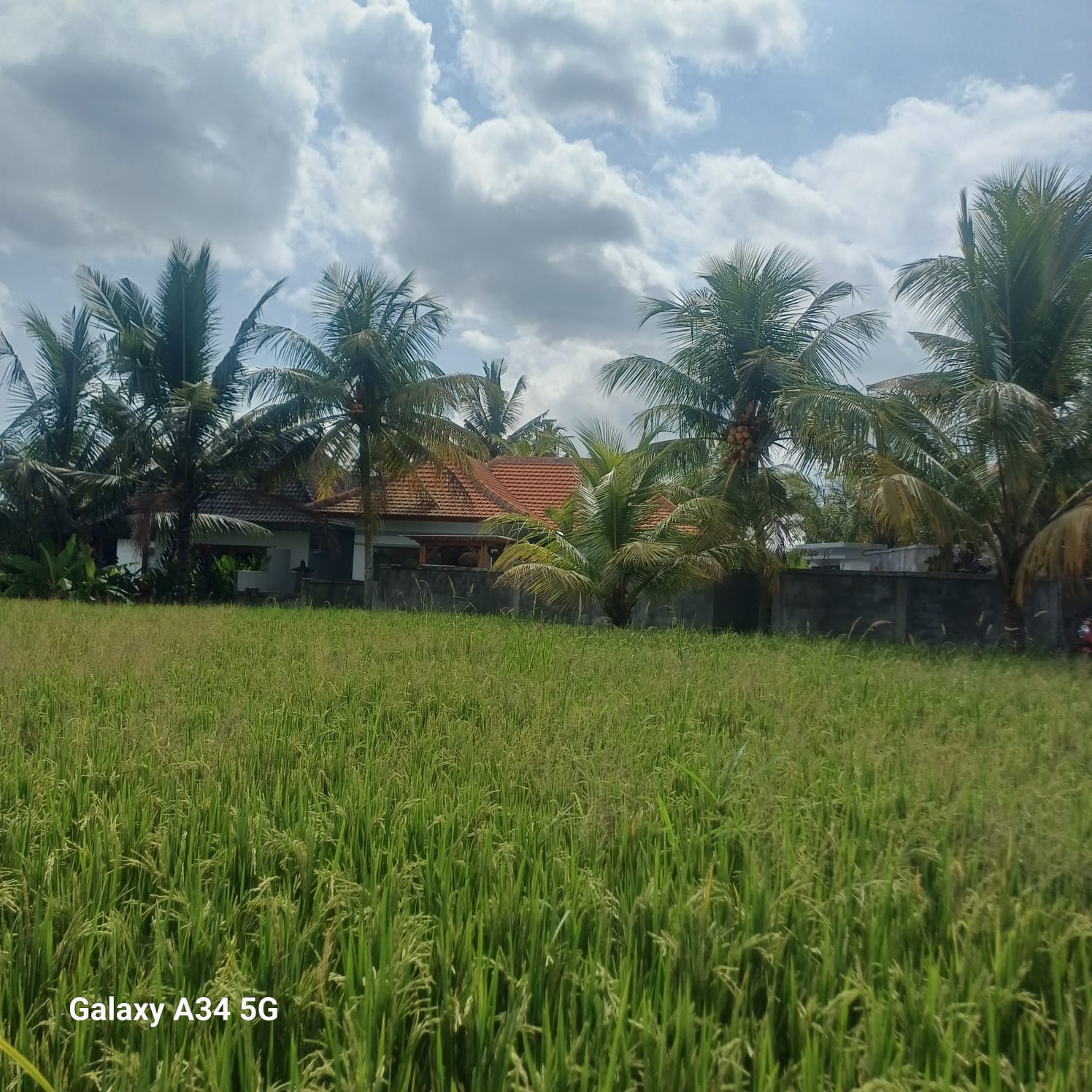 Villa #106 · 2 bed · Gentong in Ubud — image 15