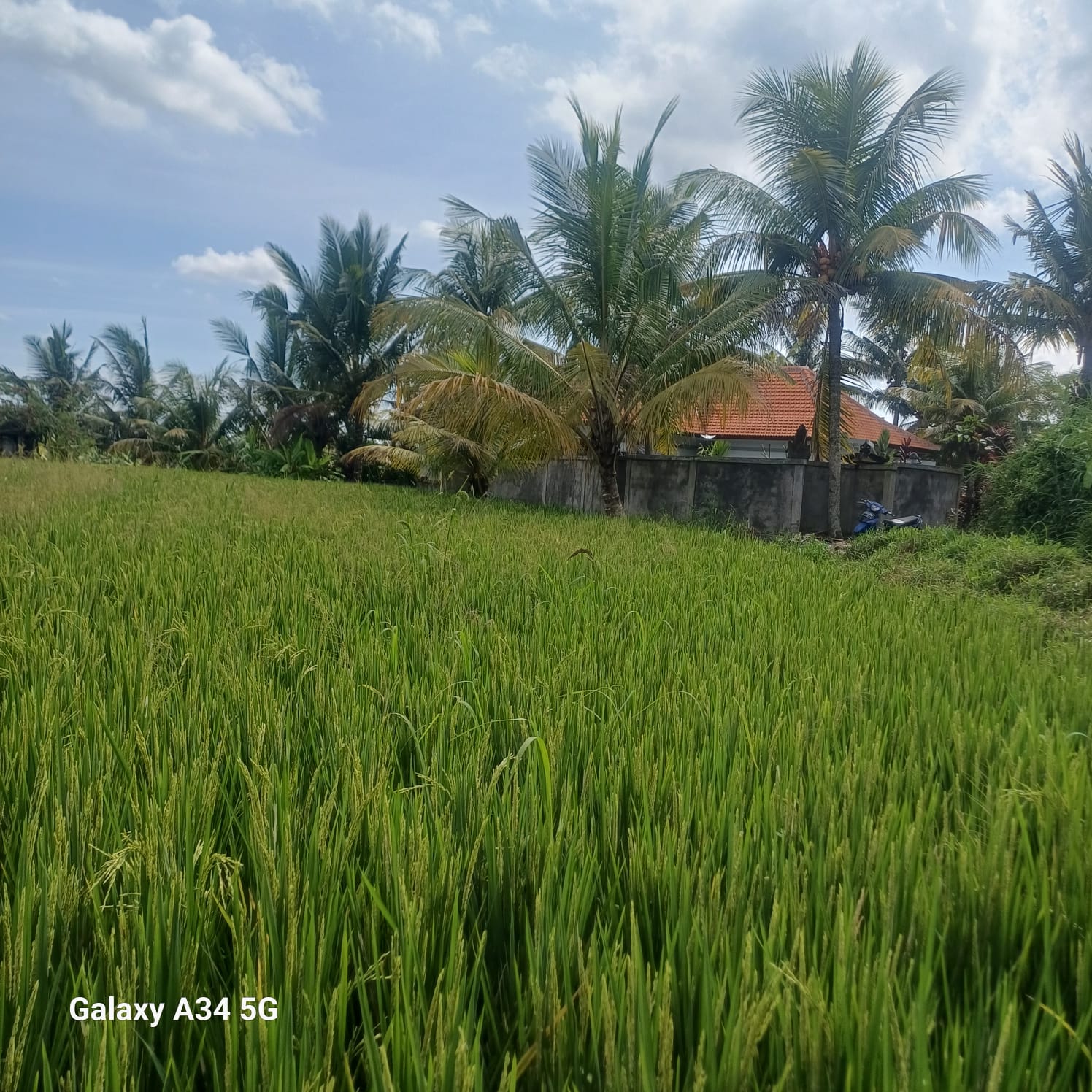 Villa #106 · 2 bed · Gentong in Ubud — image 17