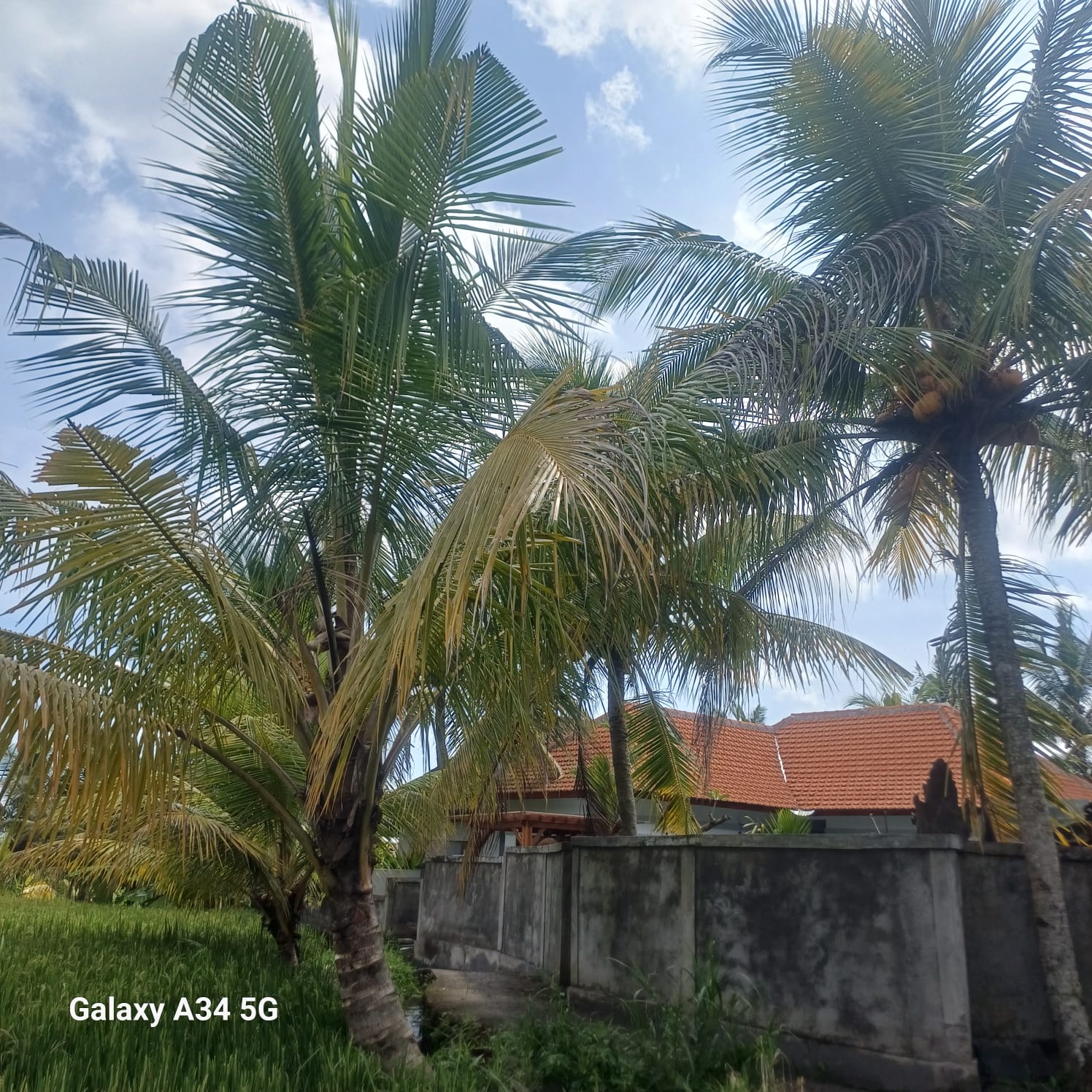 Villa #106 · 2 bed · Gentong in Ubud — image 18