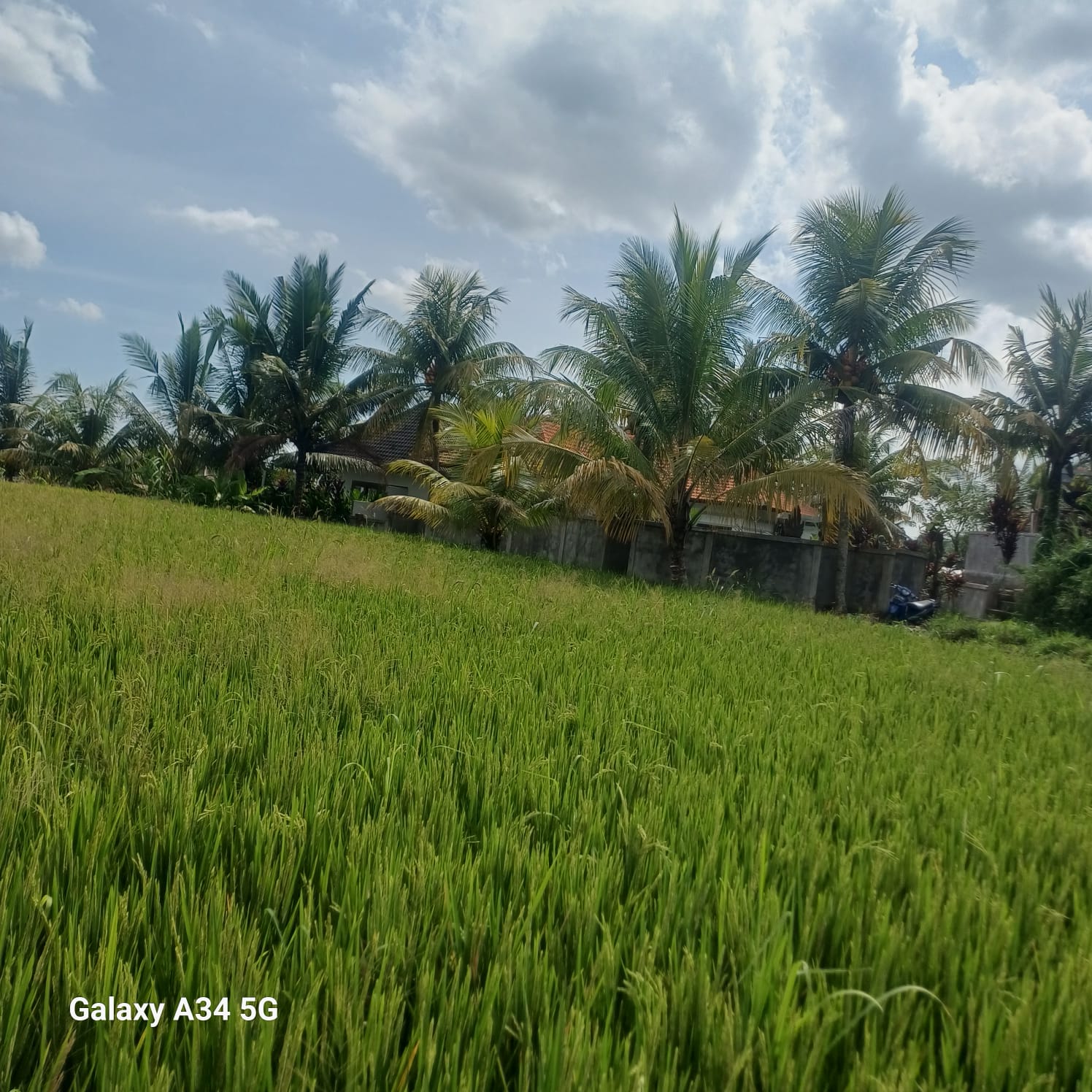 Villa #106 · 2 bed · Gentong in Ubud — image 19