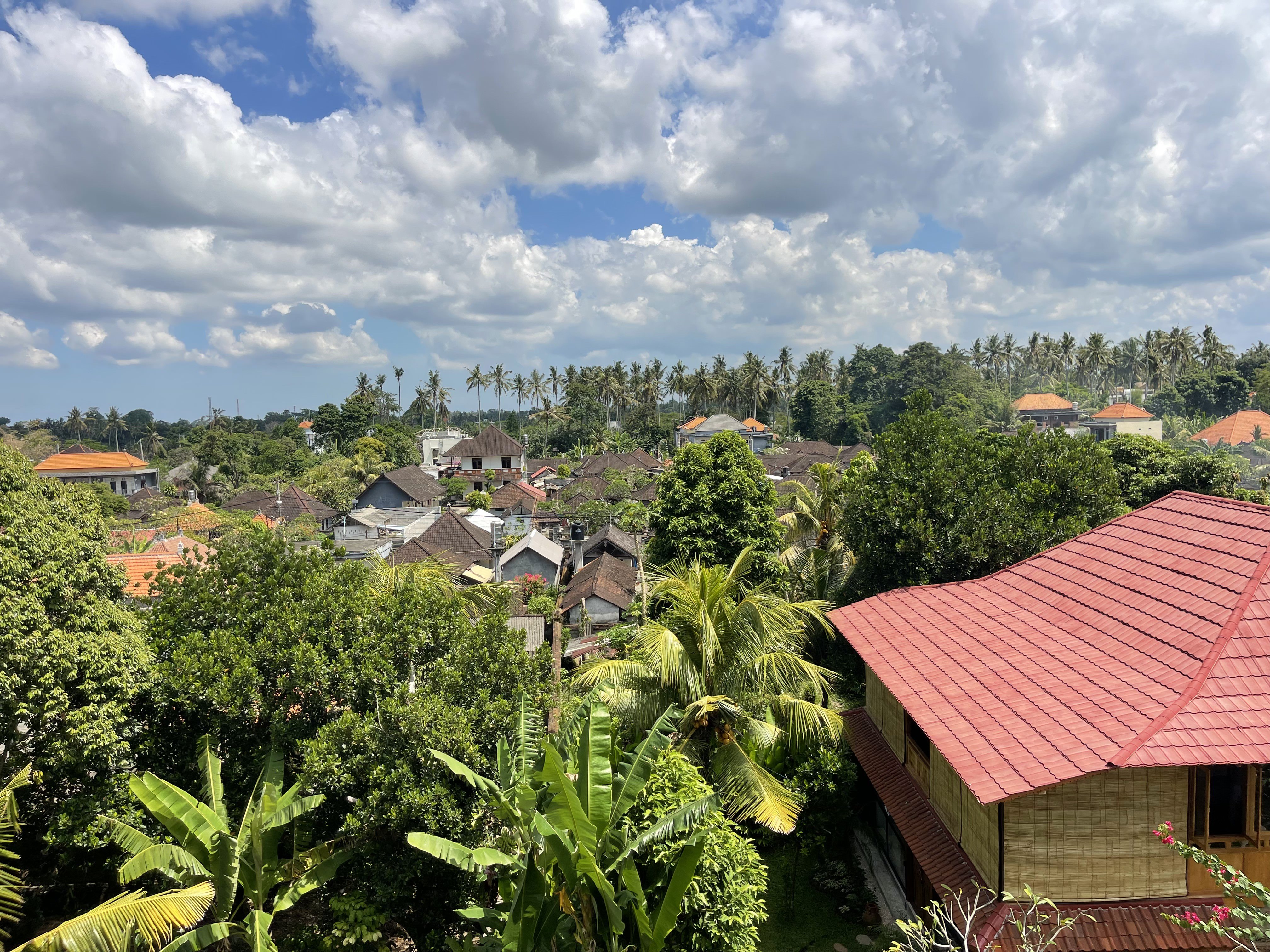 Villa #3 · 2 bed · Lodtunduh in Ubud — image 3