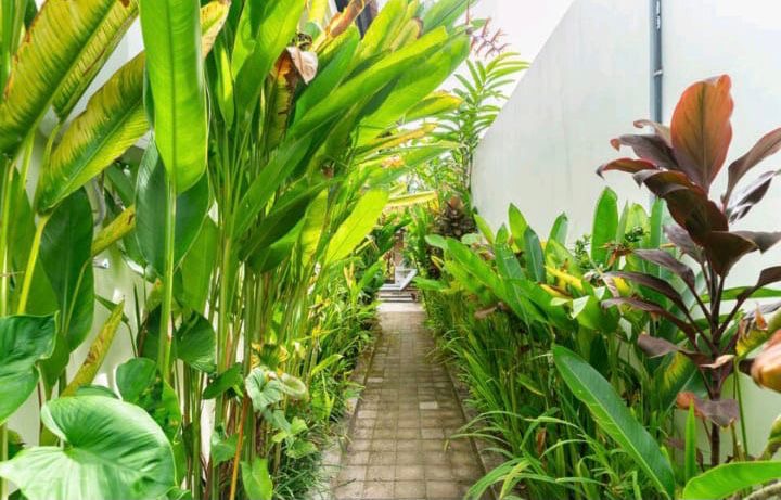 Villa #68 · 2 bed · Penestanan in Ubud — image 10