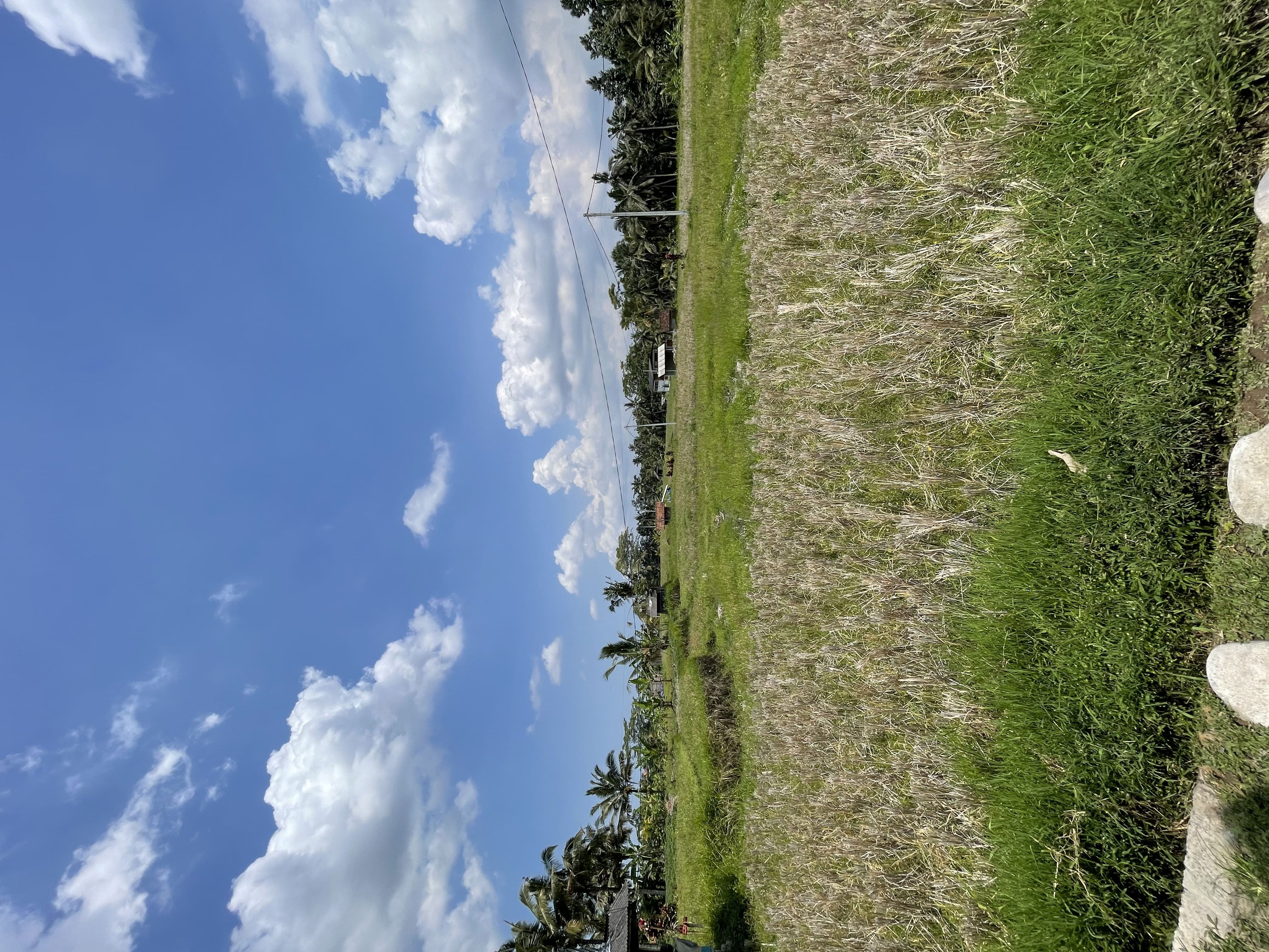 Villa #75 · 2 bed · Gentong in Ubud — image 16
