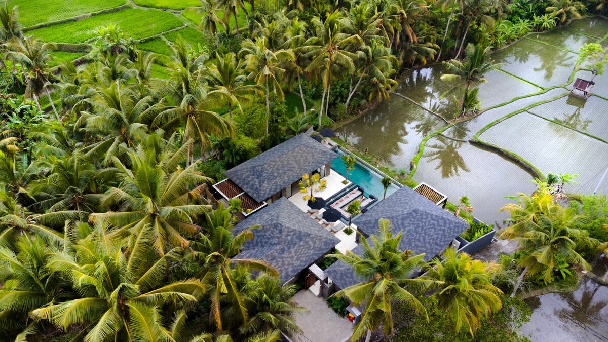 Villa Blackrock in Ubud — image 11