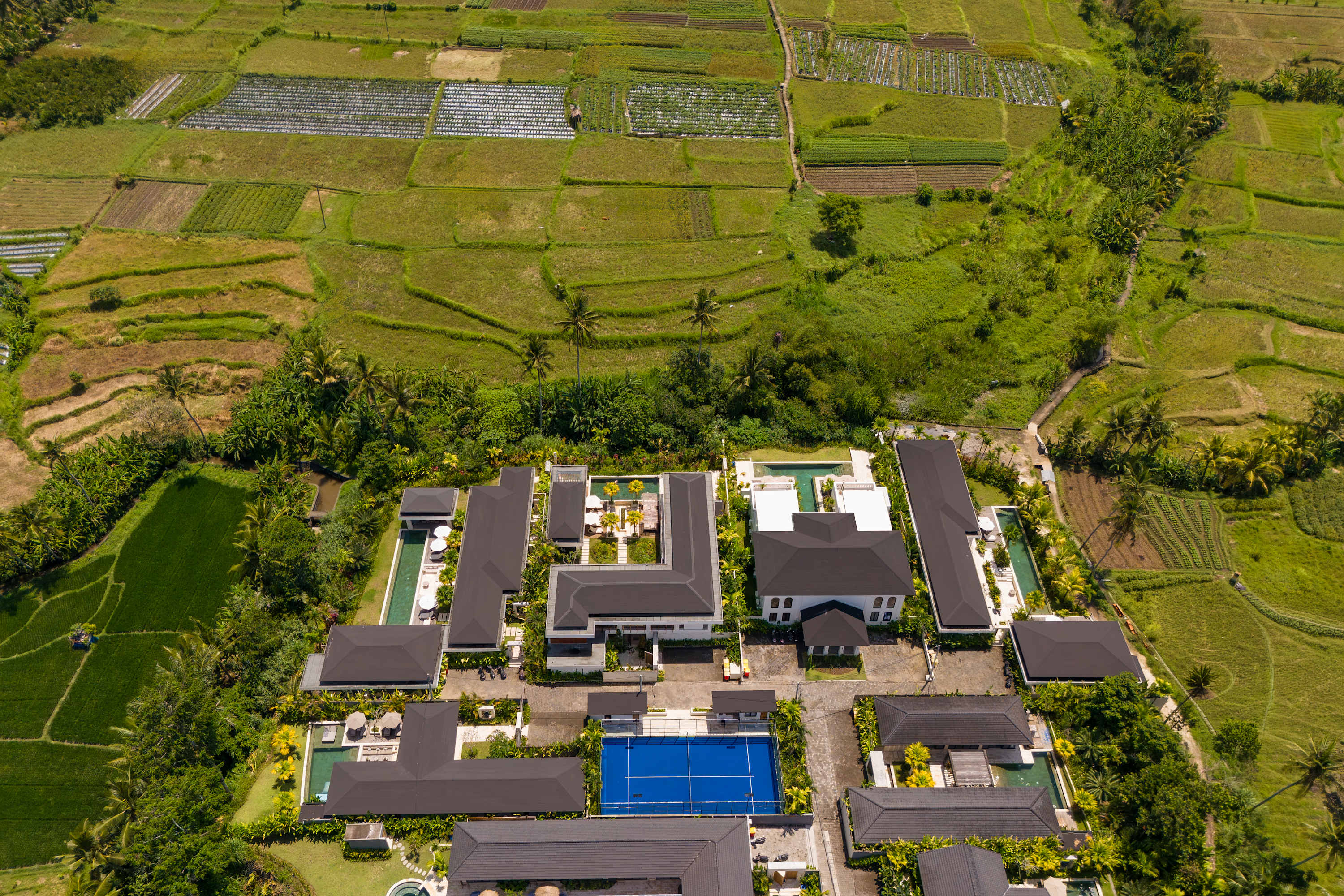 Villa Leonard in Ubud — image 6