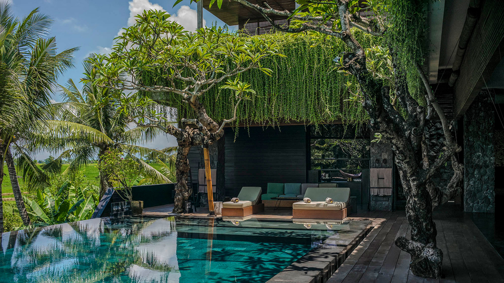 Villa Mana — 7BR Villa Rental in Canggu — image 2