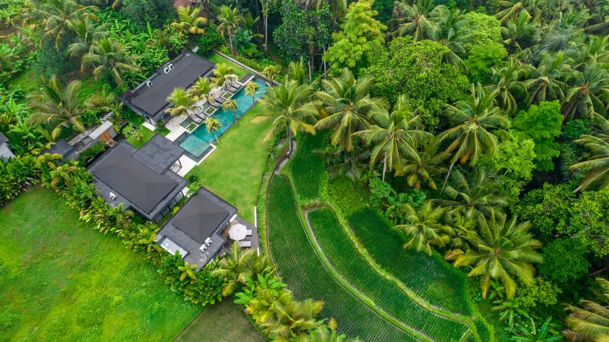 4 BR Designer Jungle Retreat Ubud — 4BR Villa Rental in Ubud — image 9