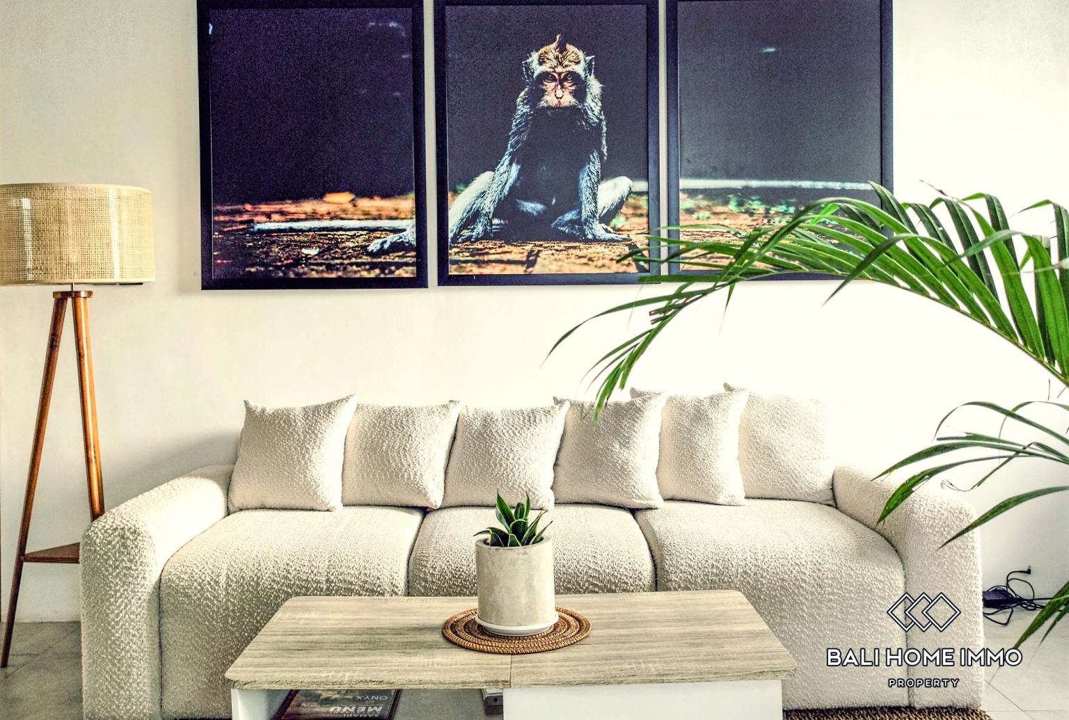 1 Bedroom Apartment for Rent in Canggu Batu Bolong — image 3