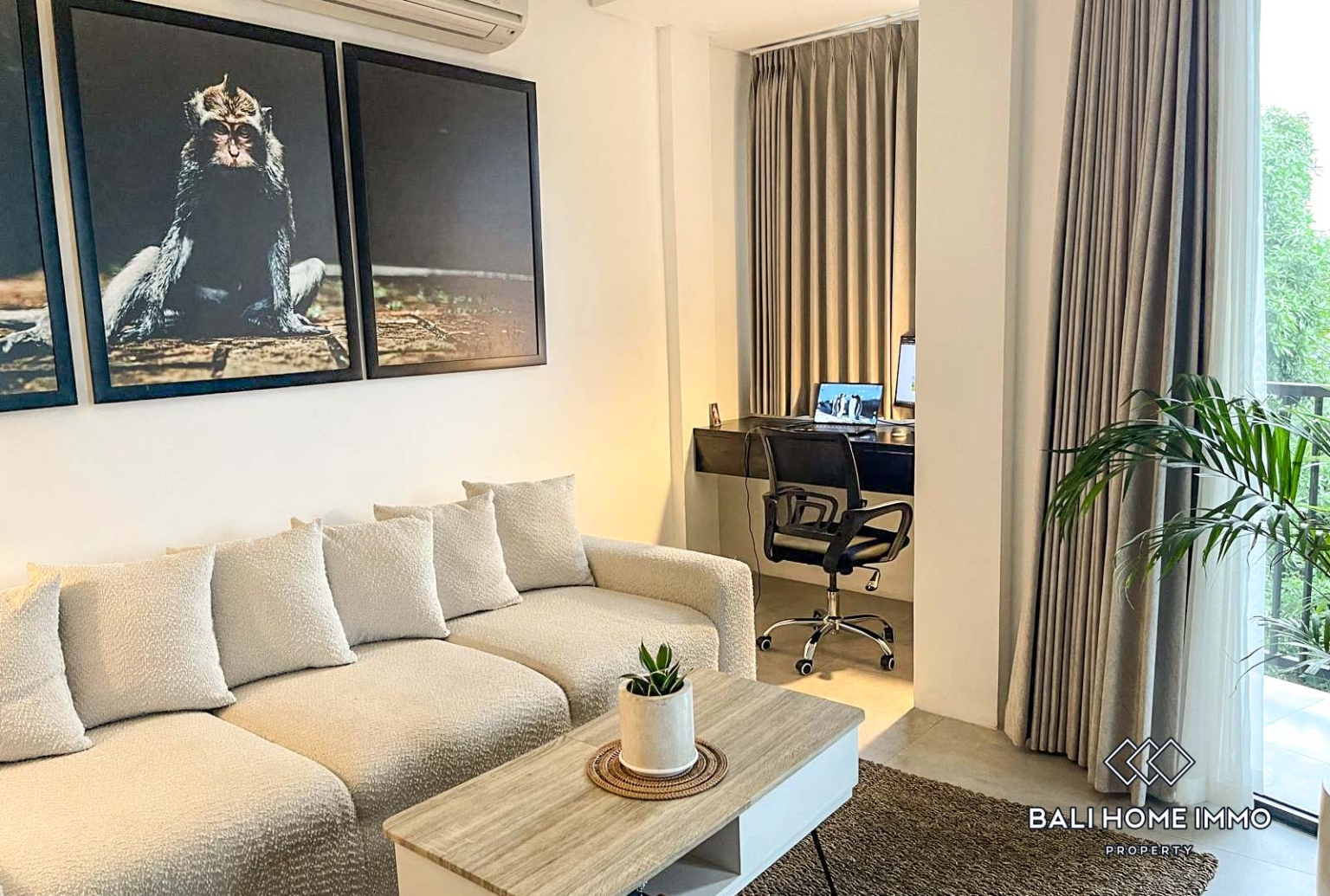 1 Bedroom Apartment for Rent in Canggu Batu Bolong — image 2