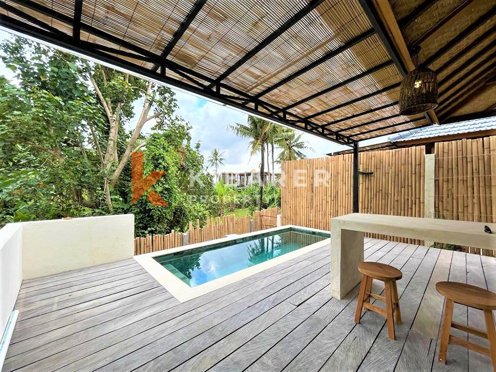 Brand New One Bedrooms Open Living Studio In Pererenan — image 5