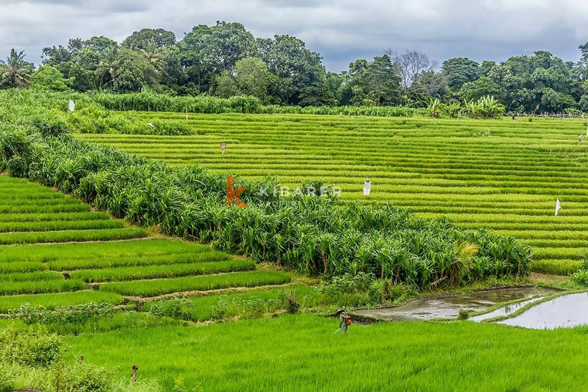 3BR Villa for Rent in Canggu, Bali — image 13