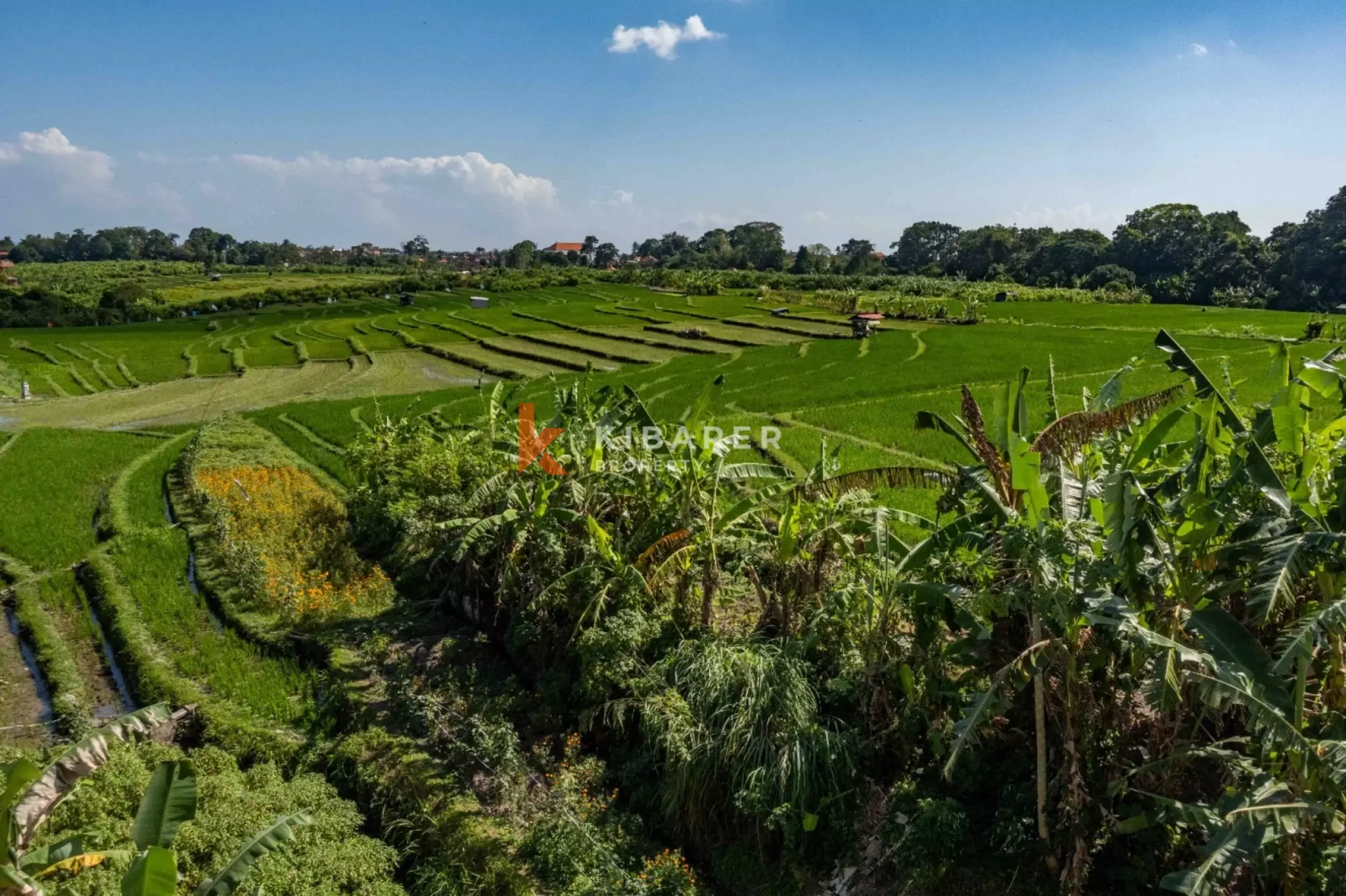 Four-Bedroom Fully Furnished House in Quiet Buduk — image 15