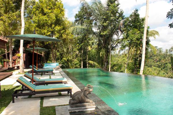 Ubud Villa 3308 — image 8