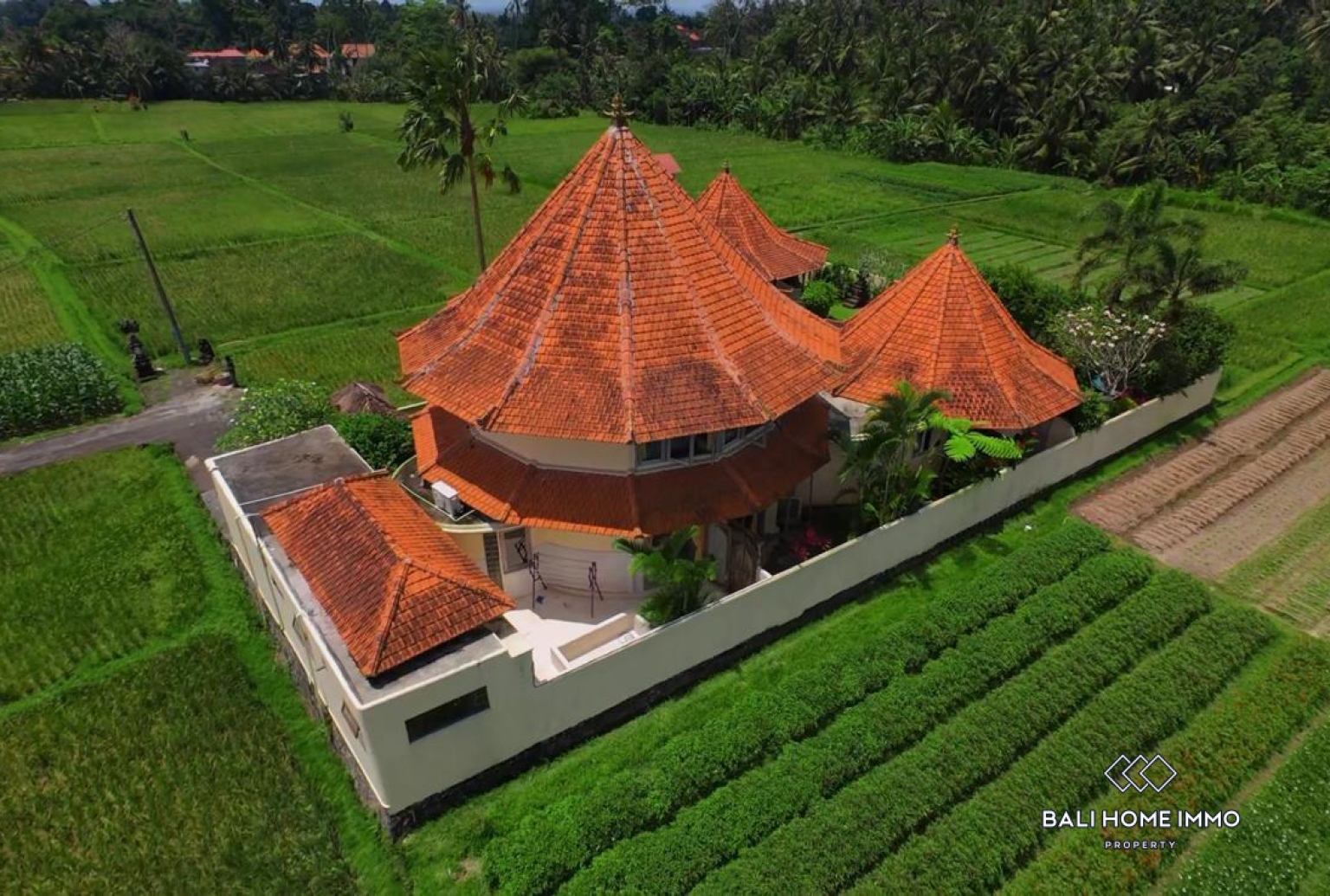 4 bedroom family villa with ricefield view for rent in Ubud