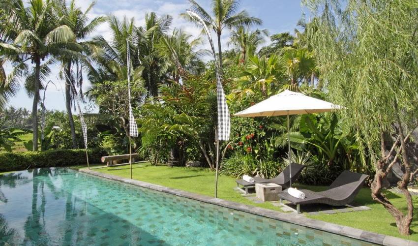 Villa 3200 in canggu — image 9