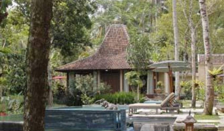 Ubud Villa 3308 — image 11