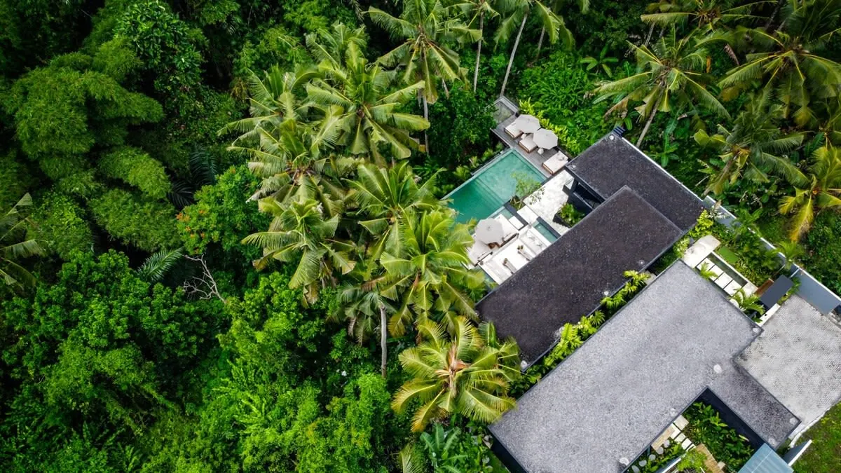 5 BR Jungle Infinity-Pool Villa Ubud — 5BR Villa Rental in Ubud — image 17