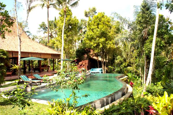 Ubud Villa 3308 — image 4