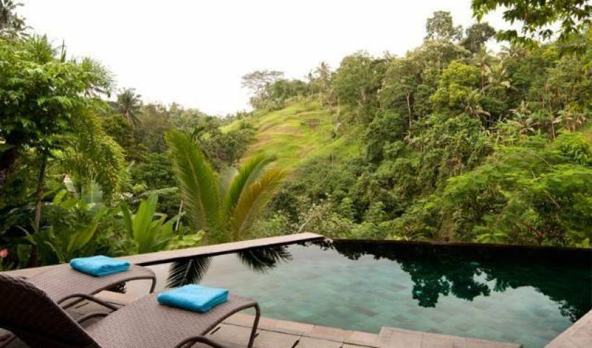 Ubud Villa 3561 — image 3