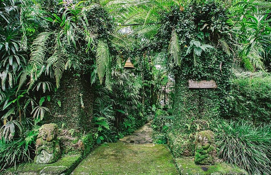 Ubud Villa 316