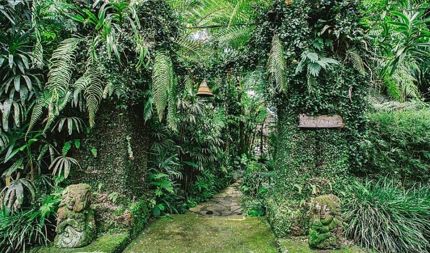 Ubud Villa 316 — image 2