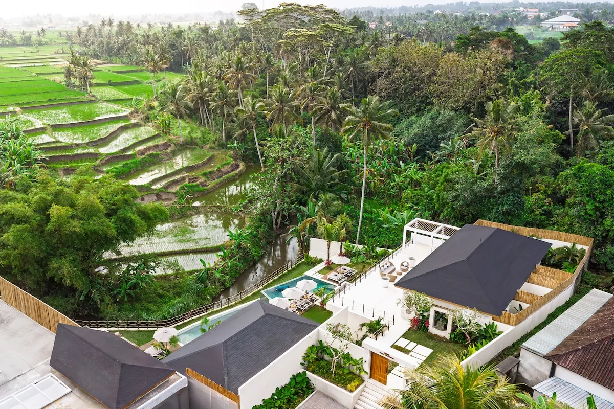 6 BR Rice-Field Infinity-Pool Villa Ubud — 6BR Villa Rental in Ubud — image 5