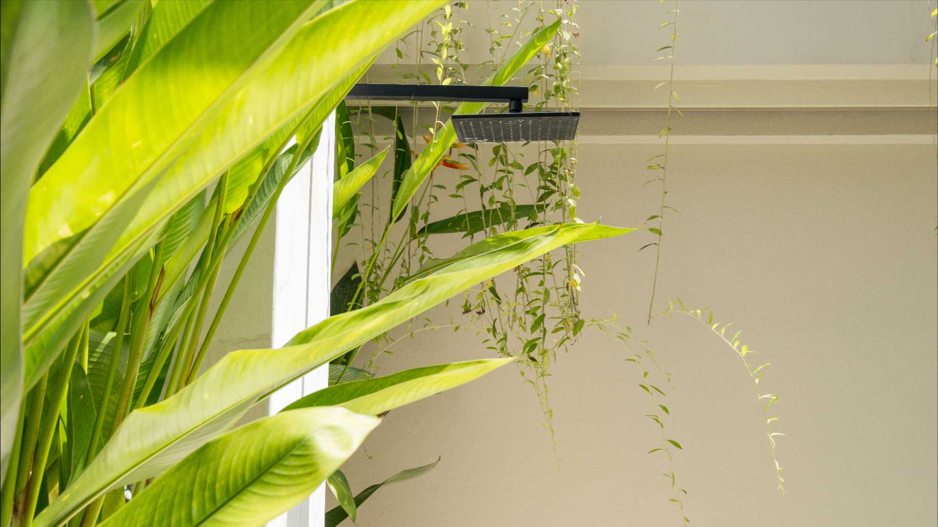 Loona Palm Villa Seseh 2 in Seseh / Cemagi — image 5