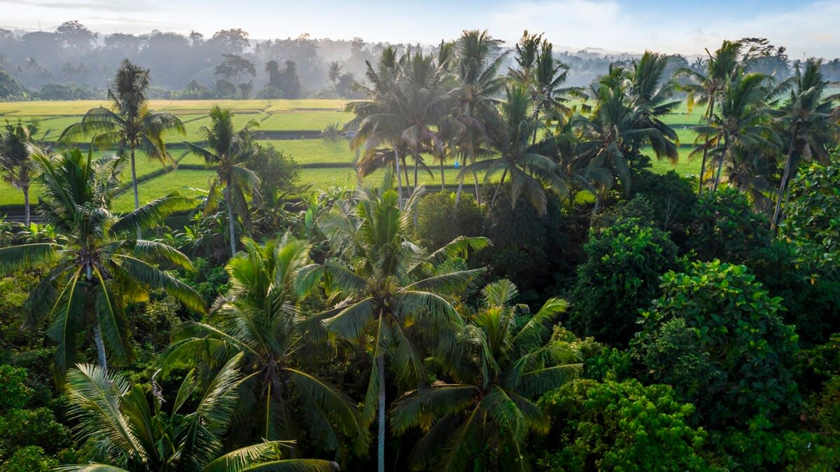 Villa Andrea in Gianyar Regency — image 9