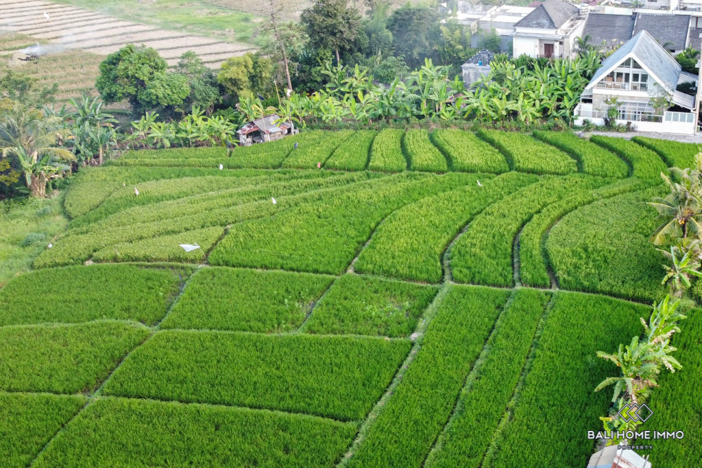 Ricefield View 3 Bedroom Villa for Yearly Rental in Bali Canggu - Berawa — image 19