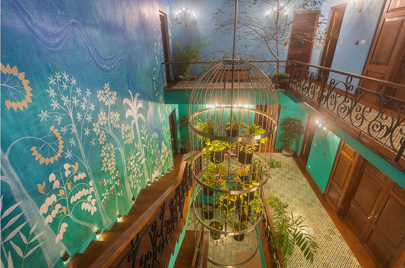 DENDROBIUM HOUSE in amed in Other Location — image 1