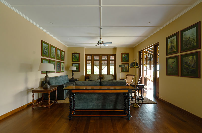 DENDROBIUM HOUSE in amed in Other Location — image 8