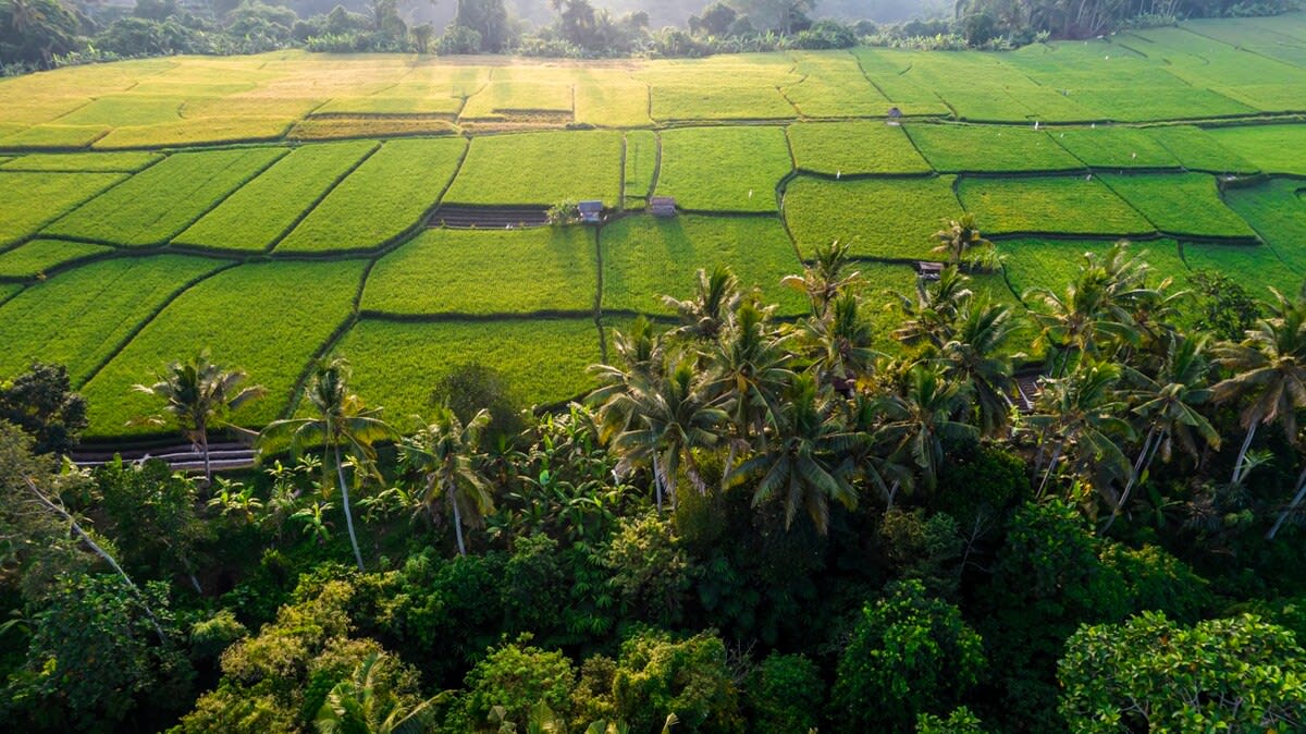 Villa Andrea in Gianyar Regency — image 10