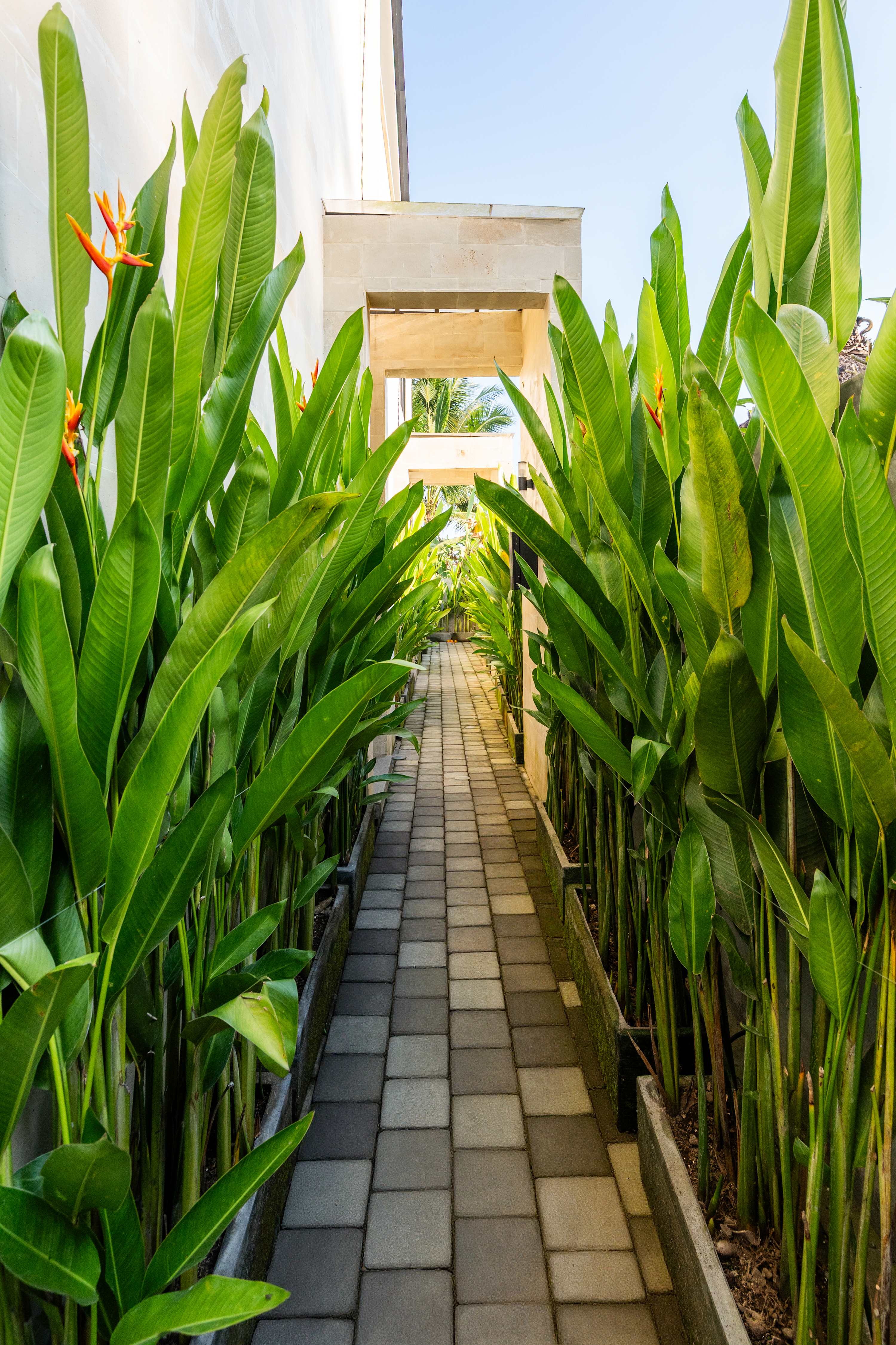 Aurea Lagoon Villa in Ubud — image 18